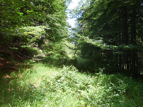 Foto 21